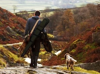assurance chien de chasse